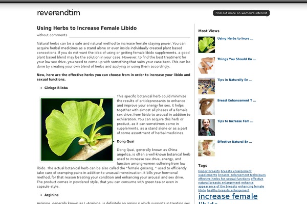 Journalist theme site design template sample