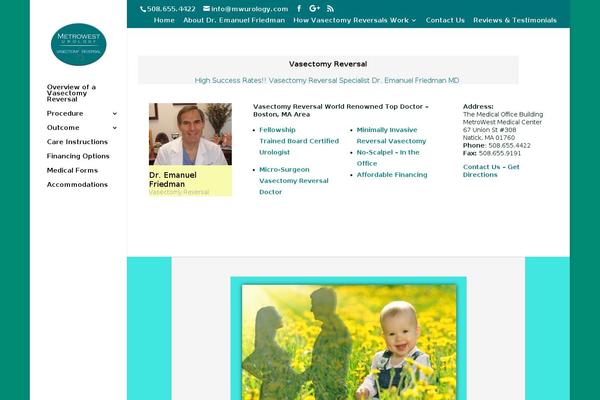 WordPress website example screenshot