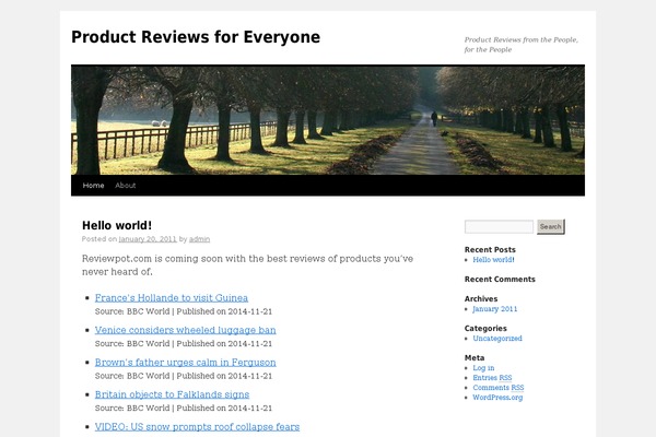 WordPress website example screenshot