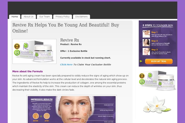 WordPress website example screenshot