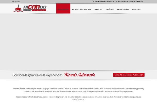 ricardoautomocion.com site used Ricardoaut