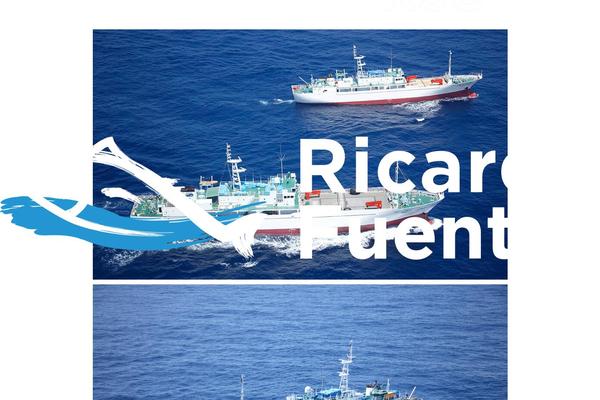 ricardofuentes.com site used Portavoz