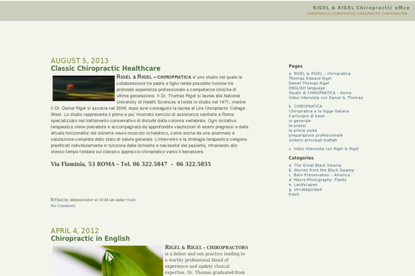 WordPress website example screenshot