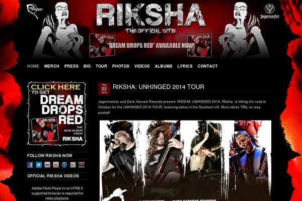 WordPress website example screenshot
