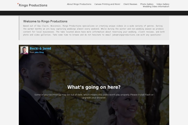 ringoproductions.com site used The-art-gallery