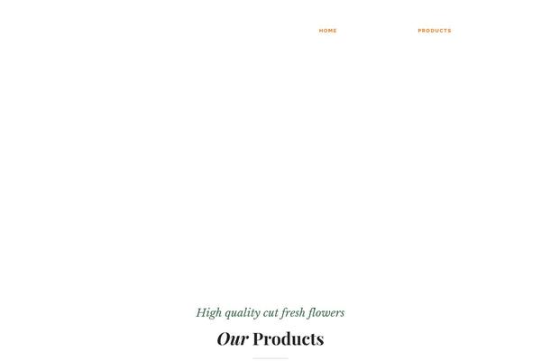 Site using LayerSlider plugin