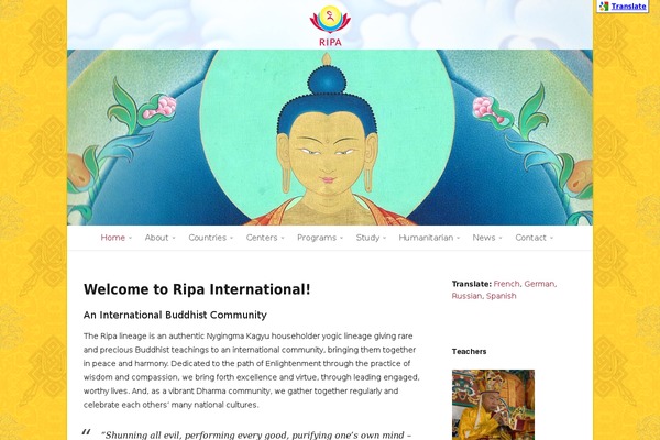ripa-international.com site used Ripa