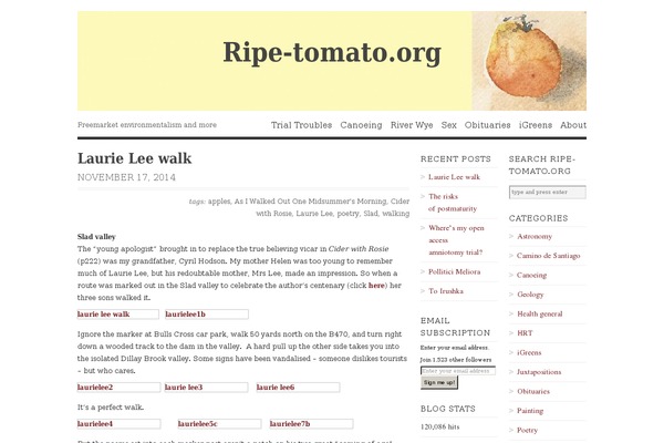 WordPress website example screenshot