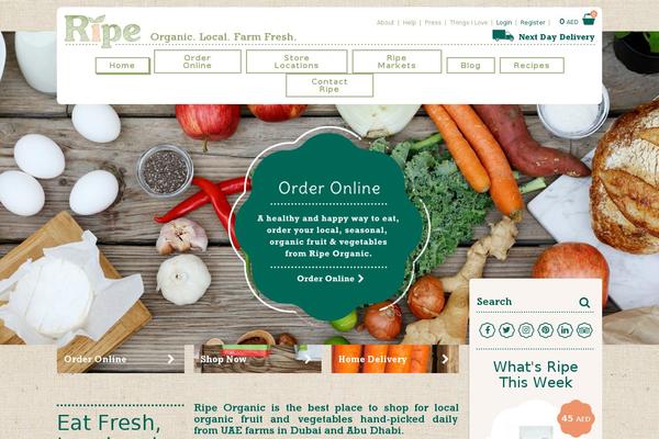 Five theme site design template sample