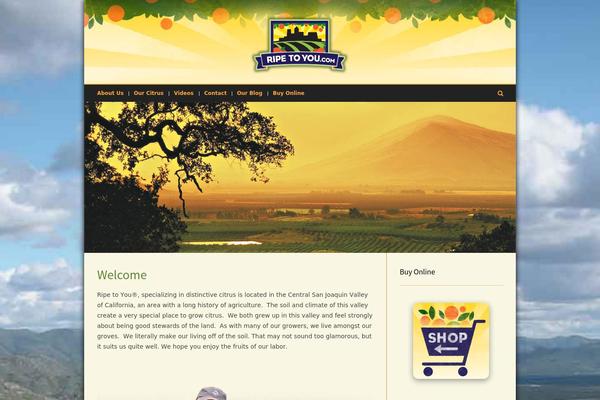 Pinpoint theme site design template sample