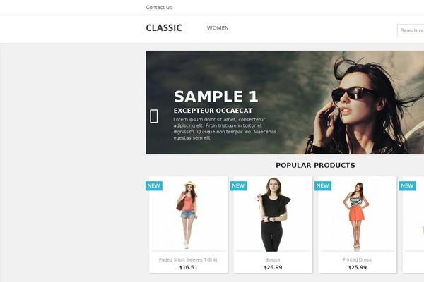 WordPress website example screenshot