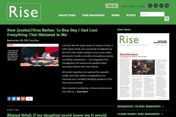 Rise theme site design template sample