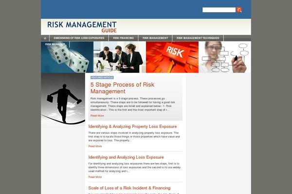 riskmanagementguide.com site used Bap
