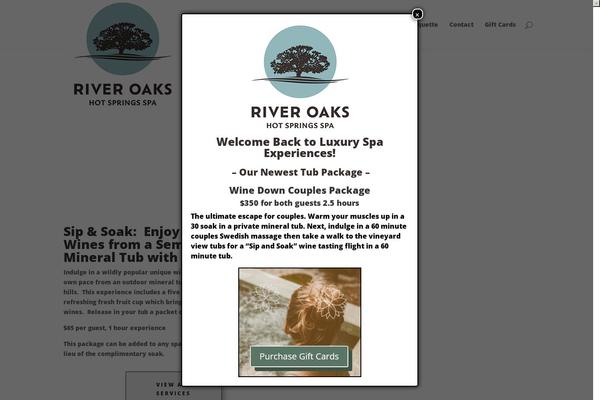 Divi theme site design template sample