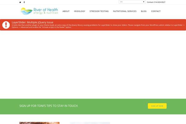 WordPress website example screenshot