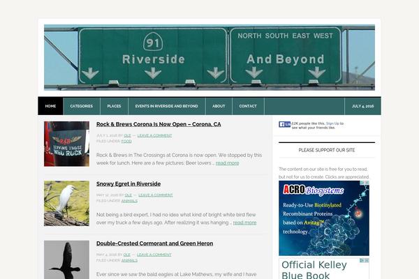 WordPress website example screenshot