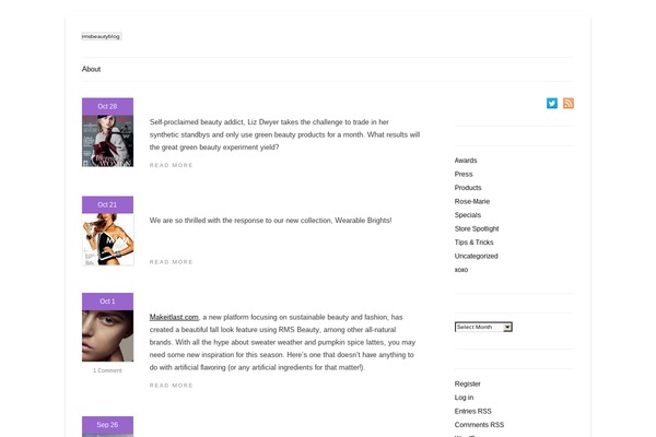 WordPress website example screenshot