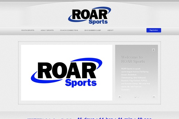 roarsports.org site used Wppolitico