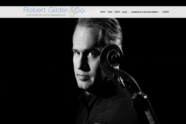Enfold theme site design template sample