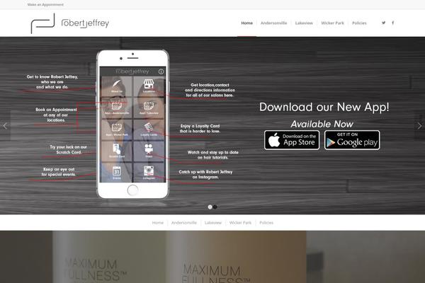 WordPress website example screenshot