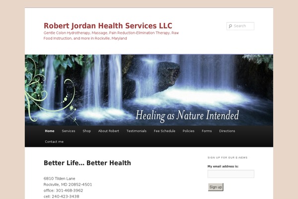 Twenty Eleven theme site design template sample