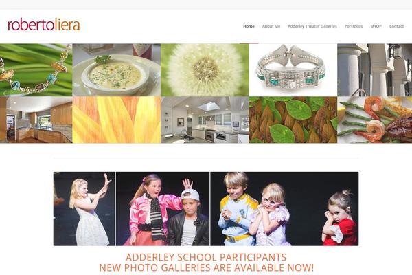 Enfold theme site design template sample