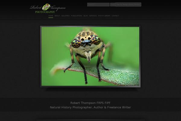 Photosquares2 theme site design template sample