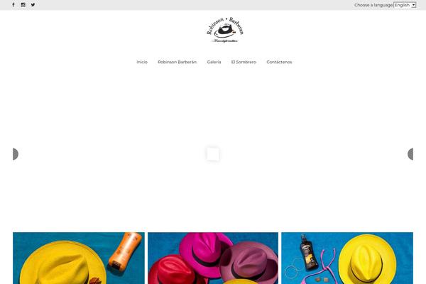 Bridge theme site design template sample