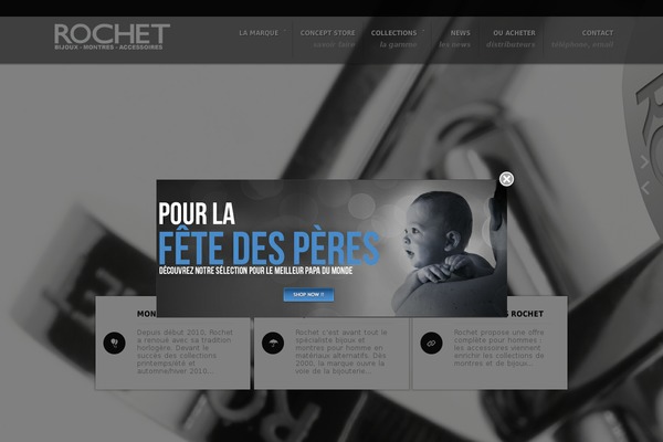 The7 theme site design template sample