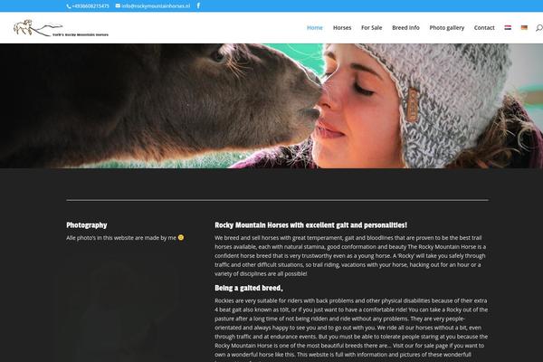 WordPress website example screenshot