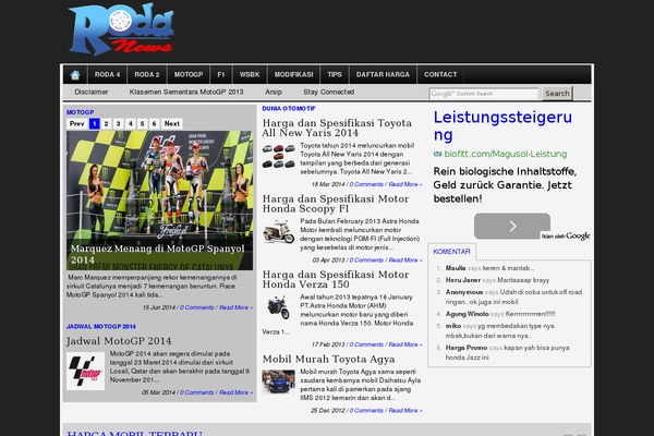 WordPress website example screenshot