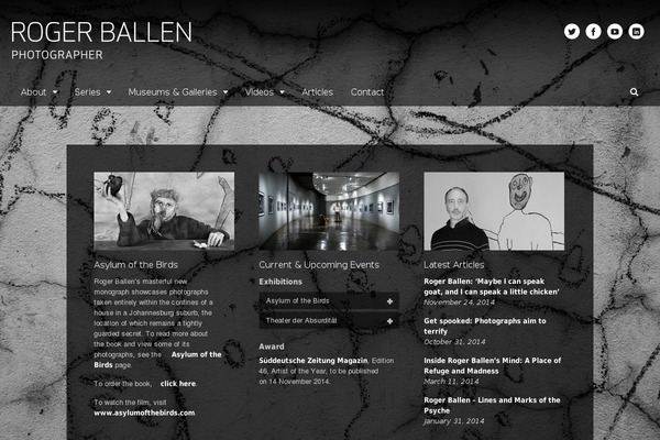 Canvas theme site design template sample