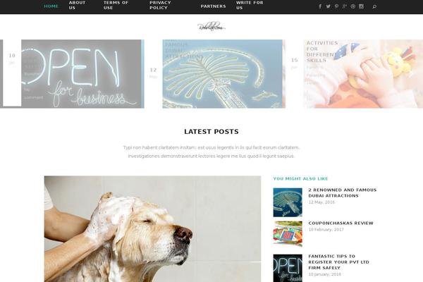 WordPress website example screenshot