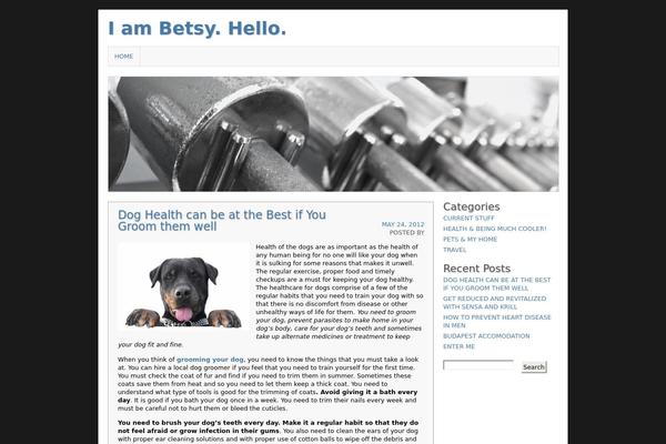 Asokay theme site design template sample