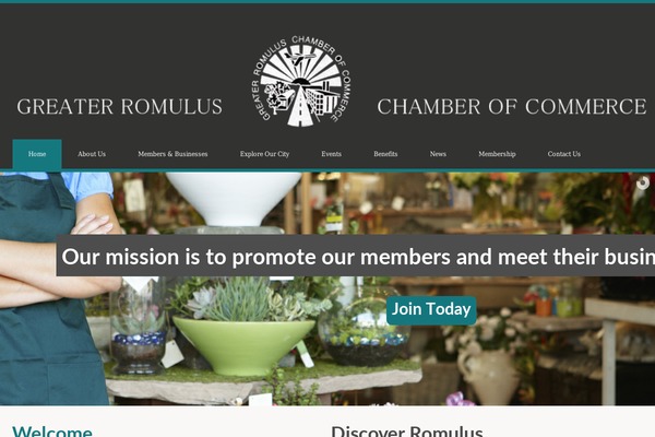 romuluschamber.org site used City-government