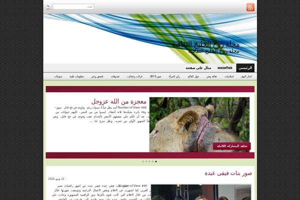 Graphene theme site design template sample