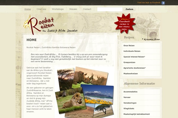 Papercut theme site design template sample