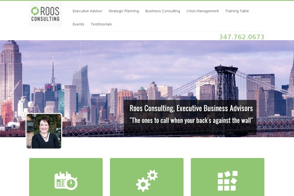 roos WordPress theme, websites list used roos theme roos theme websites examples