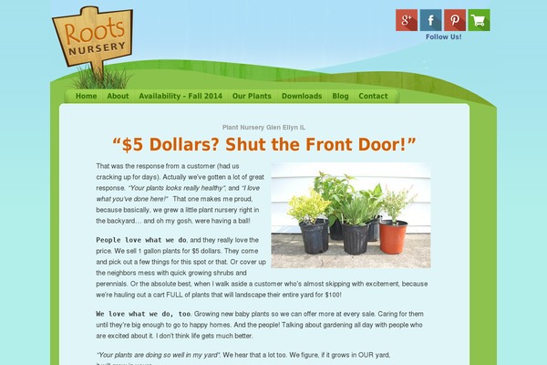 WordPress website example screenshot