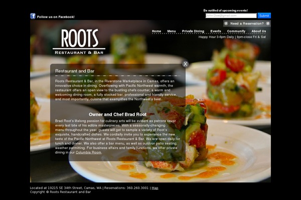 Roots theme site design template sample