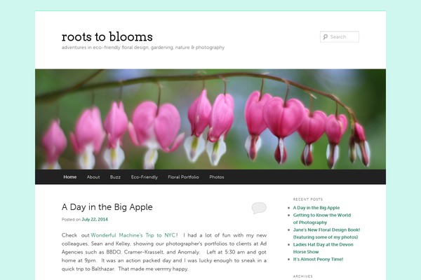 WordPress website example screenshot
