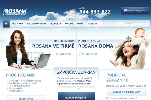 Rosana theme websites examples