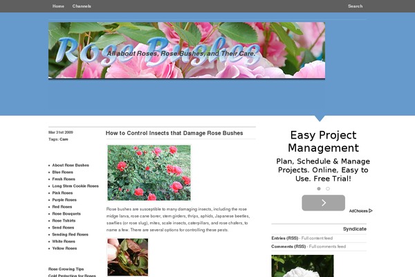 rose-bushes.com site used Seo-theme