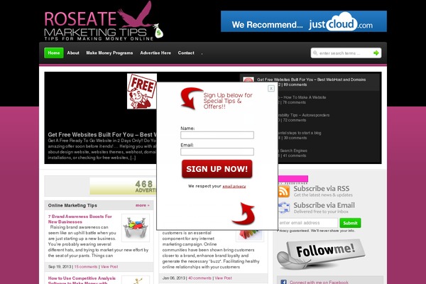 Genius theme site design template sample