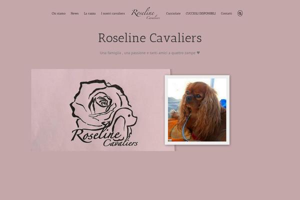 Avada Child Theme theme site design template sample