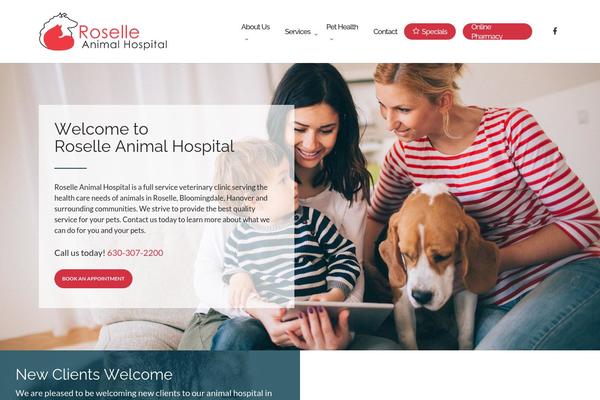 Webstersalient theme site design template sample