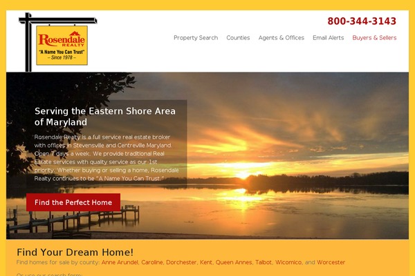 Spacious theme site design template sample