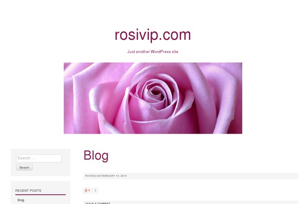 WordPress website example screenshot