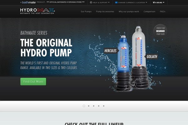 Point theme site design template sample