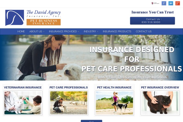 roverrisk.com site used David-theme